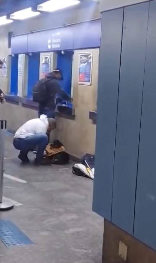 Man's act of kindness: giving his shirt to a stray dog on a cold day 4