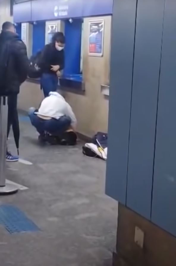 Man's act of kindness: giving his shirt to a stray dog on a cold day 5