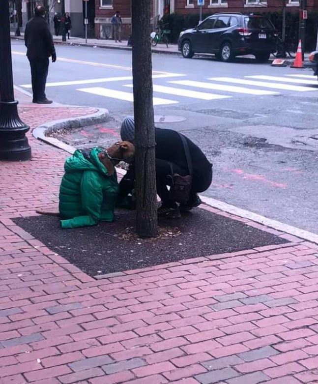 The kind woman gives her coat to dog waiting outside post office in cold weather 2