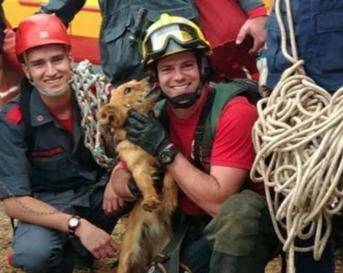 A dog rescued from a cliff after days shows appreciation to rescuers 1