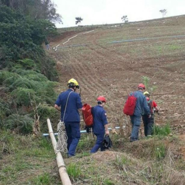 A dog rescued from a cliff after days shows appreciation to rescuers 3