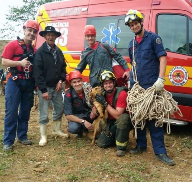 A dog rescued from a cliff after days shows appreciation to rescuers 4