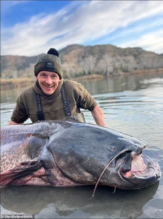 Ditch Ballard took a photo with the giant fish. Image Credits: Daily Mail