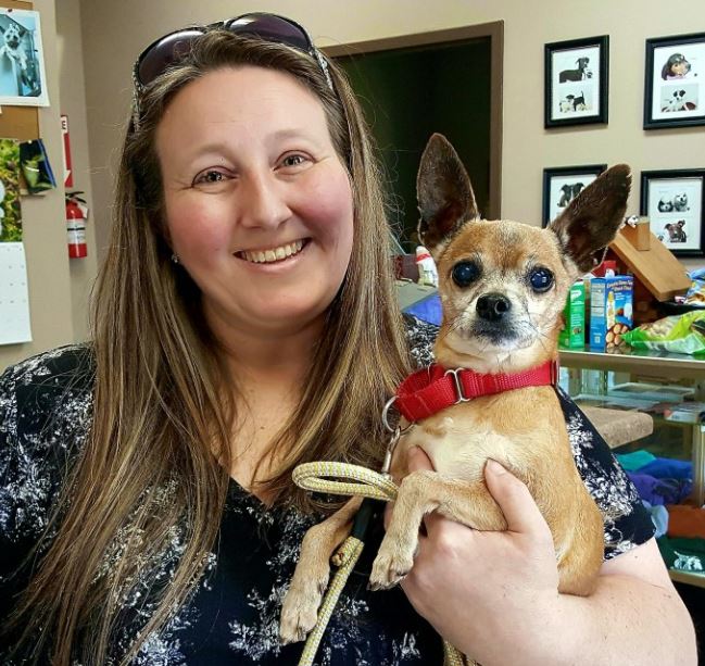 The dog cried himself to sleep every night after being taken to the shelter when his owner passed away 3