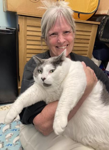 ‘Admirably gluttonous body’: 40 pound cat adopted from Virginia shelter 2