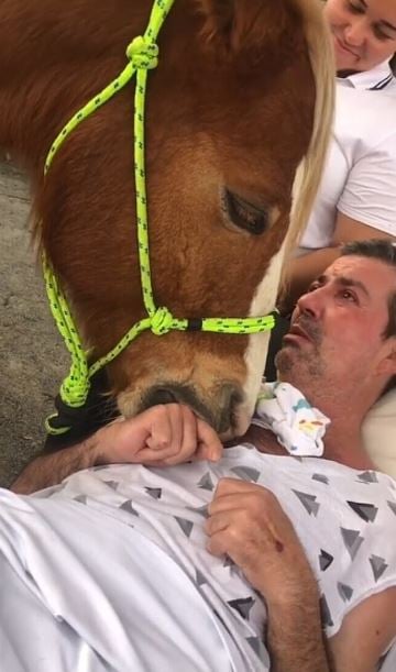 Gentle horse comforts man, bringing him to tears during memorable visit 3