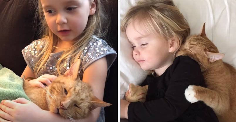 Heartbroken young daughter sings to cat as he passes away, but their friendship endures