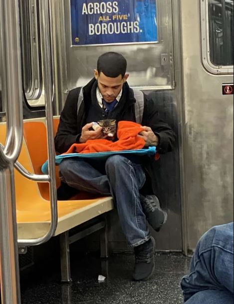 Heartwarming photos of man caring for tiny kitten on subway go viral 1
