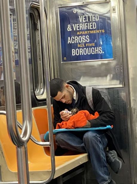 Heartwarming photos of man caring for tiny kitten on subway go viral 2