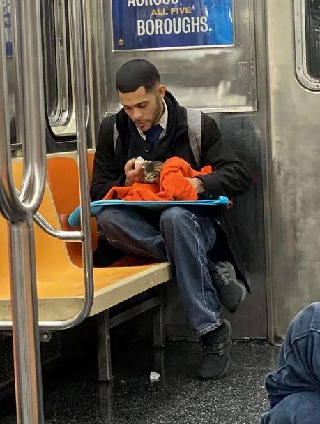 Heartwarming photos of man caring for tiny kitten on subway go viral 3