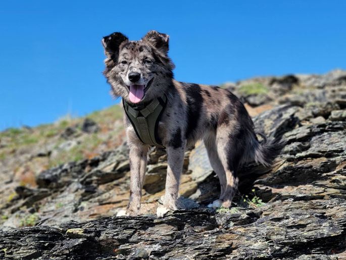 Image Credits: Heath | Backseat Bedroom