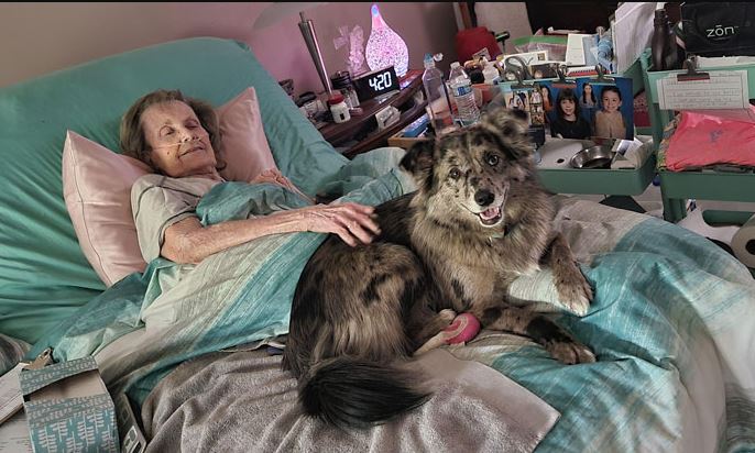 Image Credits: Heath | Backseat Bedroom