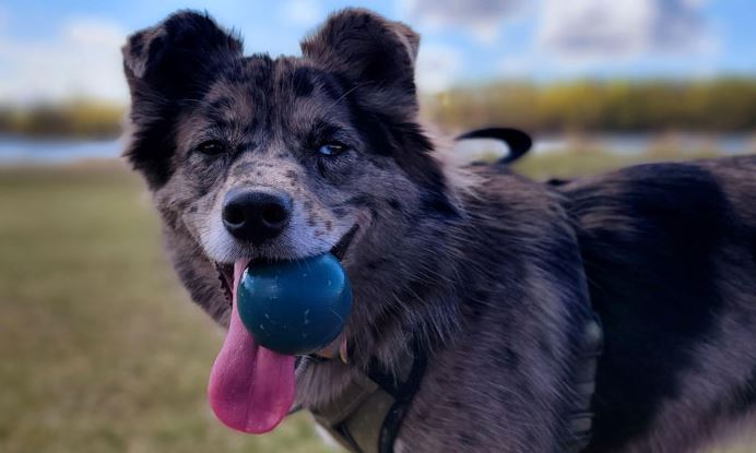 Image Credits: Heath | Backseat Bedroom