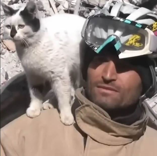 A cat rescued by a firefighter from earthquake rubble sticks by his side 1