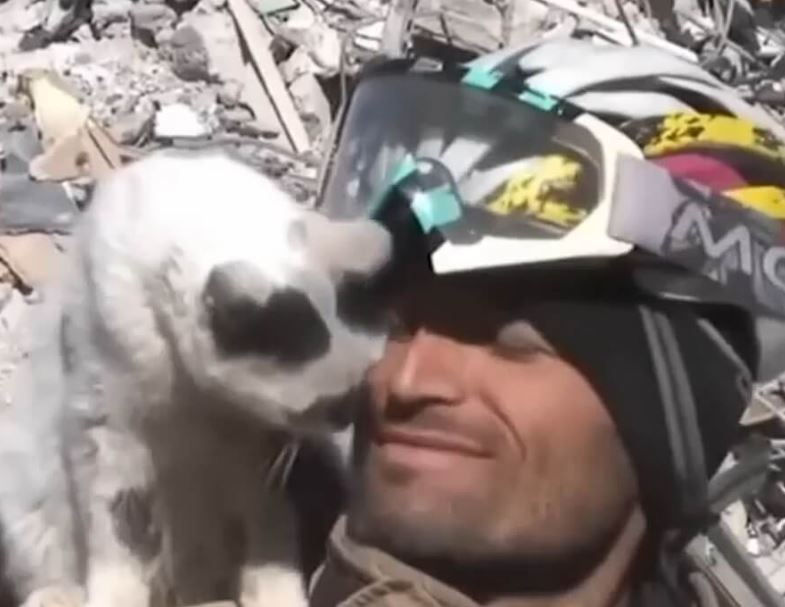 A cat rescued by a firefighter from earthquake rubble sticks by his side 2
