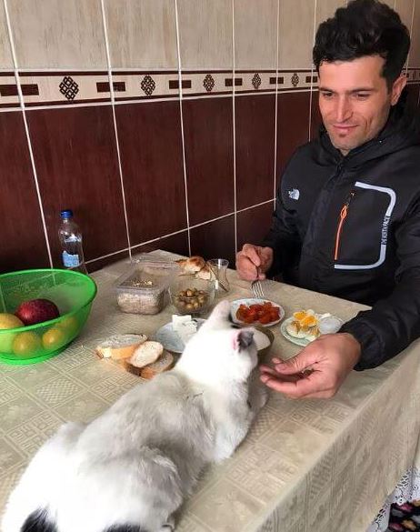 A cat rescued by a firefighter from earthquake rubble sticks by his side 5