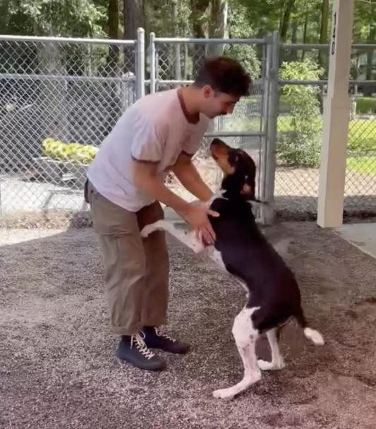 The loudest dog at the shelter speechless when he reunites with his dad 3