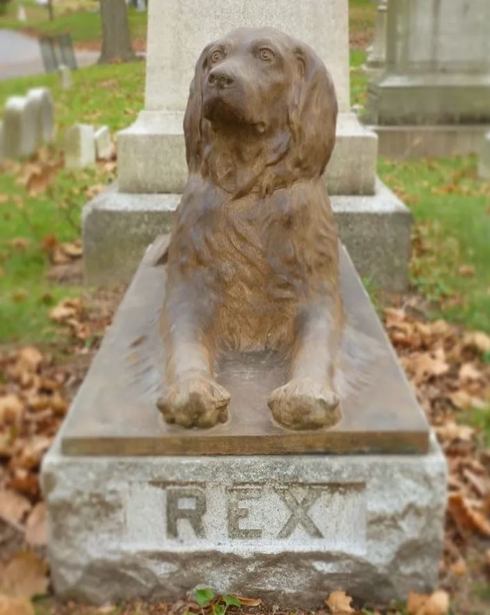 People placed sticks on the grave of a dog that passed away 100 years ago 1