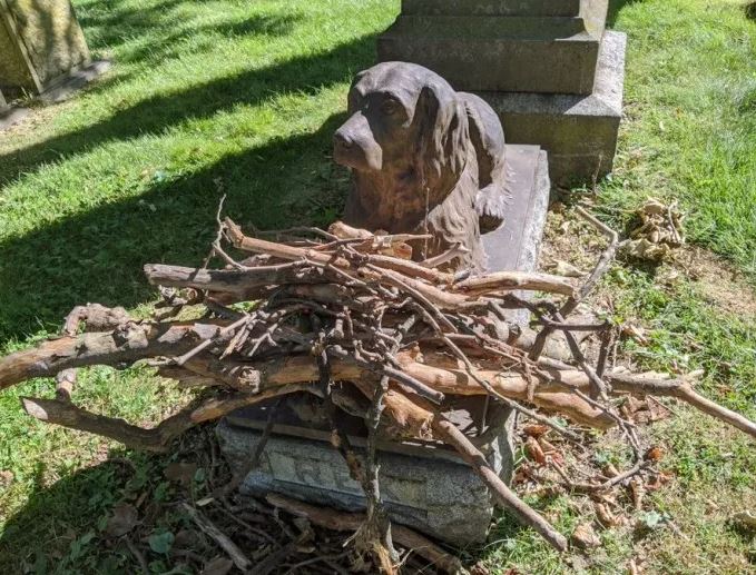People placed sticks on the grave of a dog that passed away 100 years ago 3