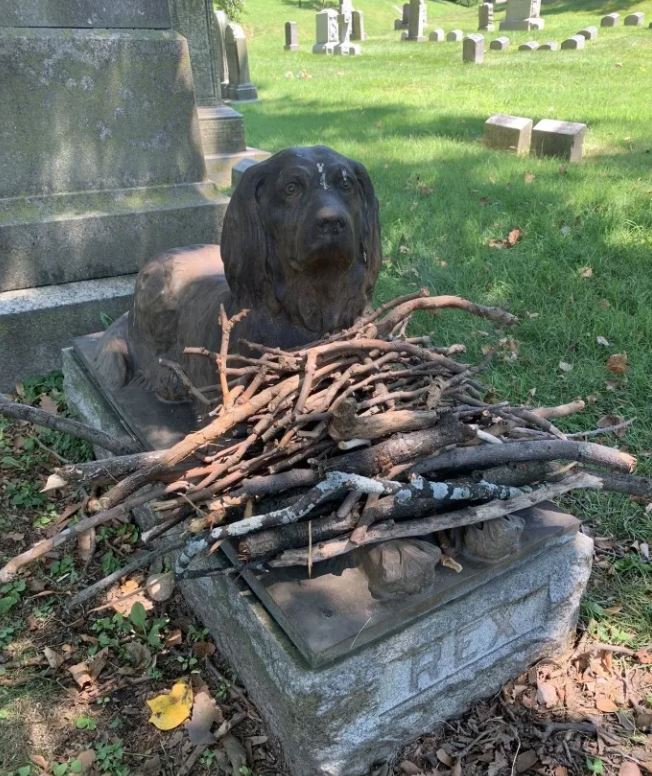 People placed sticks on the grave of a dog that passed away 100 years ago 5