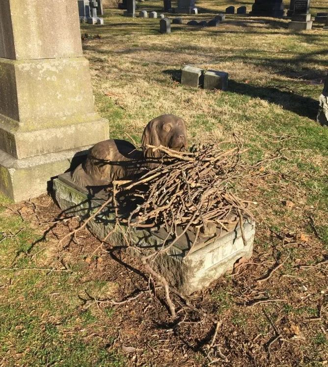 People placed sticks on the grave of a dog that passed away 100 years ago 6