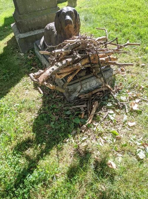 People placed sticks on the grave of a dog that passed away 100 years ago 7