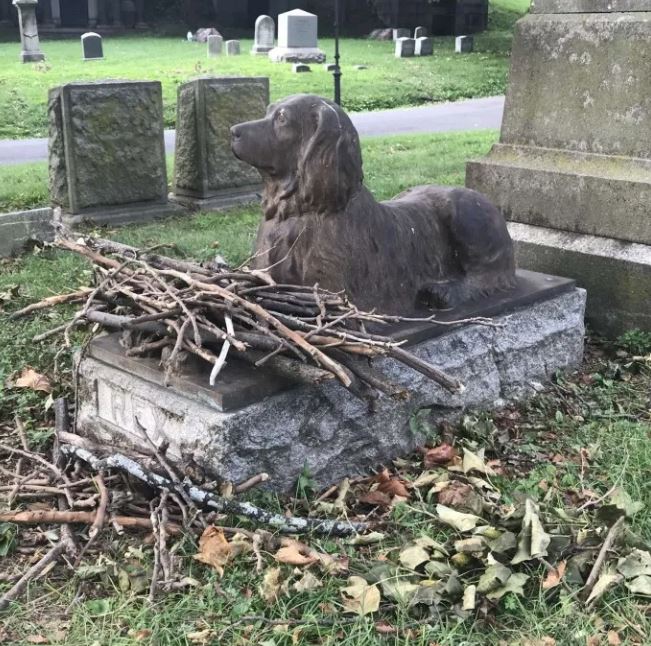 People placed sticks on the grave of a dog that passed away 100 years ago 8