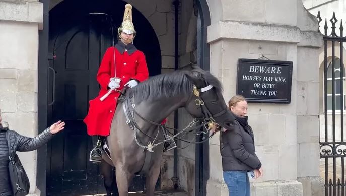 The king's bodyguard horse bit a woman's ponytail for getting too close (despite the signboard). 1
