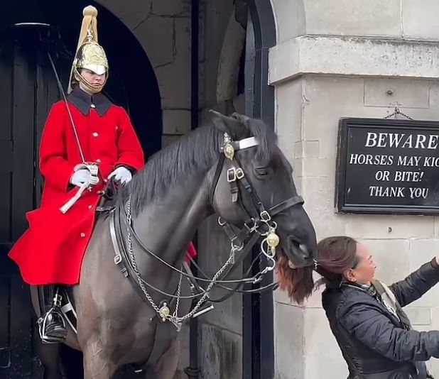 The king's bodyguard horse bit a woman's ponytail for getting too close (despite the signboard). 2