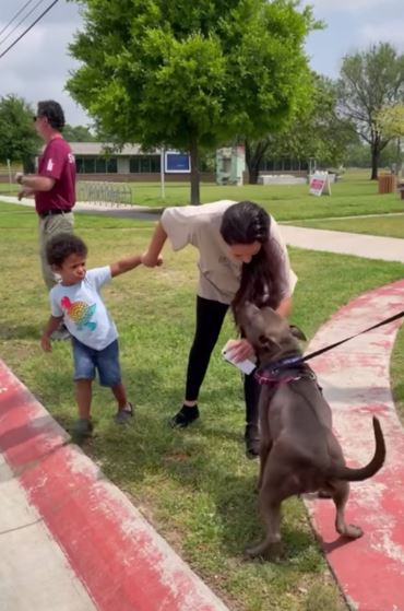 Dog reunites with Florida family after spending 301 days in texas animal shelter 2