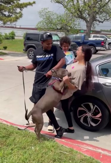 Dog reunites with Florida family after spending 301 days in texas animal shelter 3