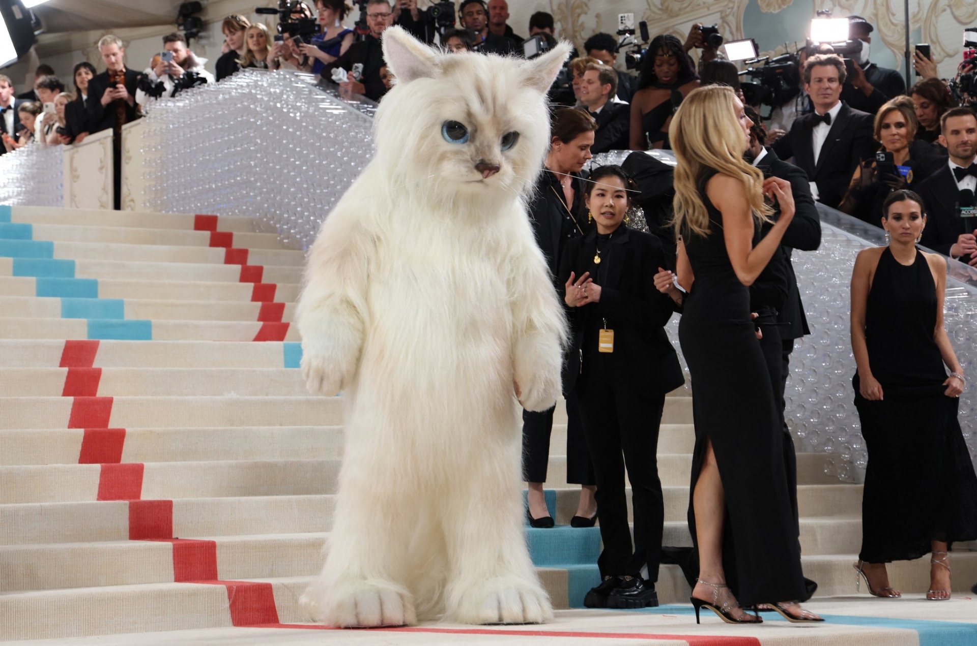 Cats dominated the 2023: Doja Cat and Jared Leto Are the Cat’s Meow at the Met Gala 2023 4