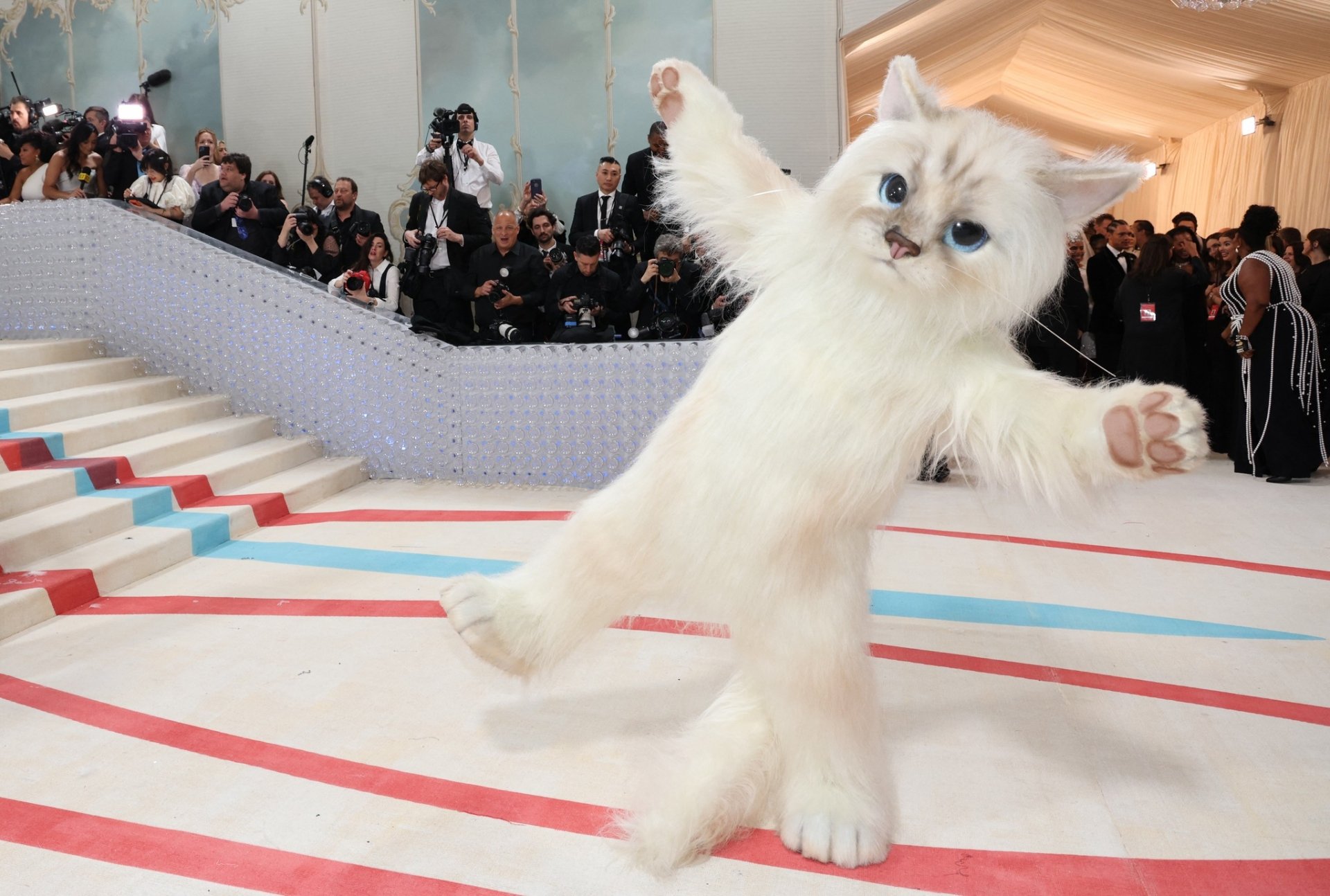 Cats dominated the 2023: Doja Cat and Jared Leto Are the Cat’s Meow at the Met Gala 2023 5