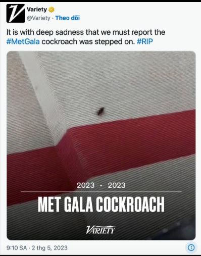 The prestigious Met Gala 2023 red carpet is in chaos due to a cockroach 2