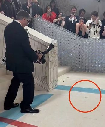 The prestigious Met Gala 2023 red carpet is in chaos due to a cockroach 4