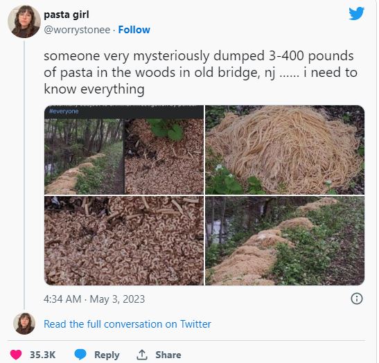 Hundreds of pounds of cooked pasta were found mysteriously scattered in New Jersey forest 1