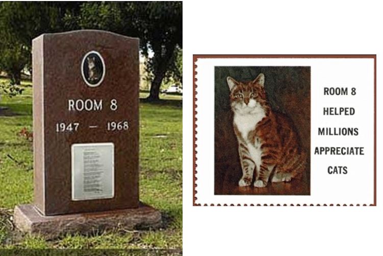 Studious Cat's Tombstone shares touching tale in heartwarming memorial 7
