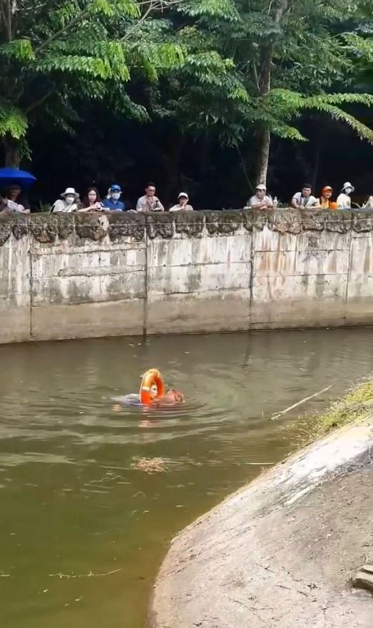 Brave zoo staff rescue drowning orangutan and perform CPR to revive it 4