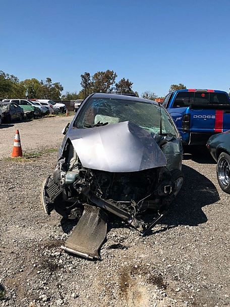 Couple reunites with lost dog who jumped from car window during accident 1