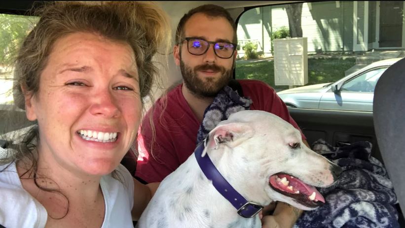Couple reunites with lost dog who jumped from car window during accident 4