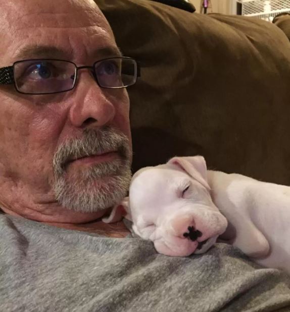 Two-legged dog captivates millions as he is cuddled in his dad's arms 3