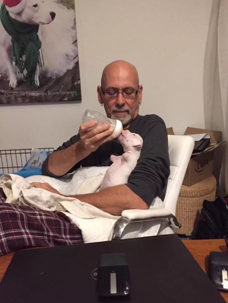 Two-legged dog captivates millions as he is cuddled in his dad's arms 6