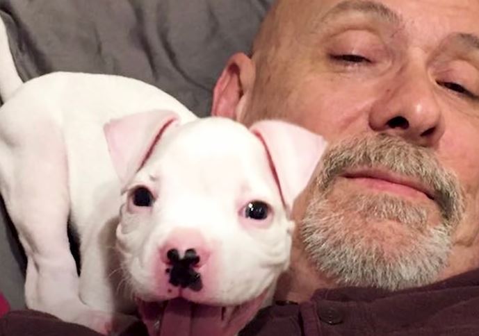 Two-legged dog captivates millions as he is cuddled in his dad's arms 5
