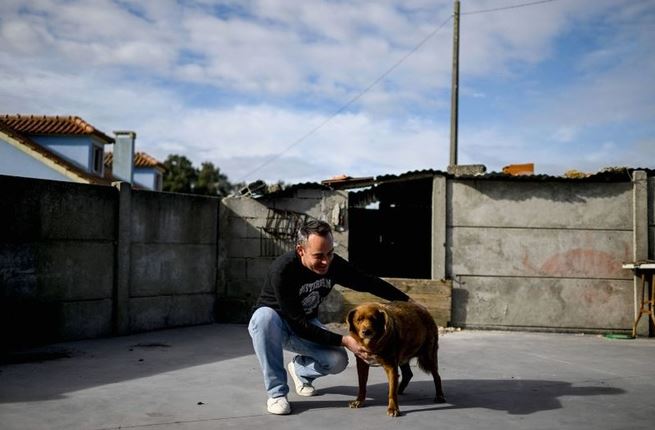 World's oldest dog celebrates 31st birthday 3