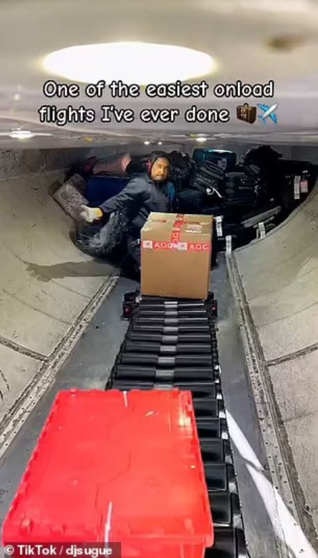 Watching airport workers put suitcases into oversized compartments is like doing a jigsaw puzzle 2