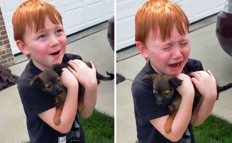 Grandma surprises boy saving for a puppy with a heartwarming gift 3