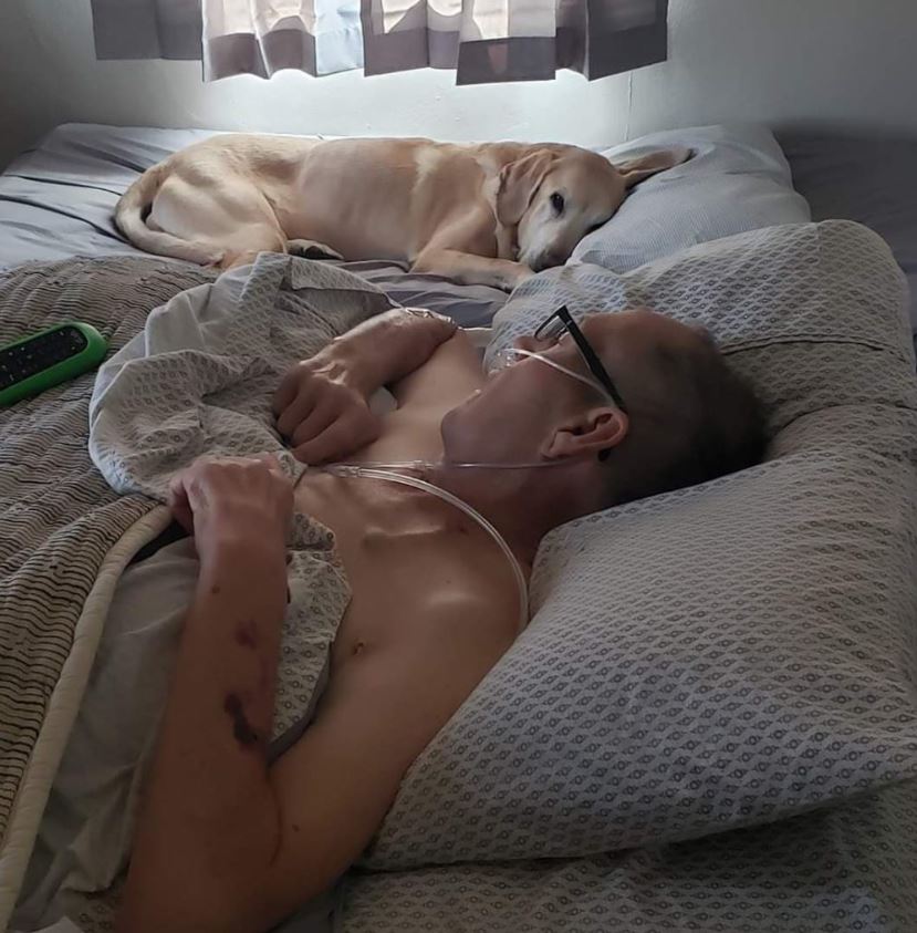 The dog stayed with the owner for 9 years to treat cancer, both died a few hours apart 1