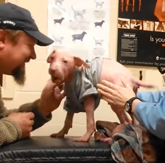 Man returns to adopt the dog he rescued, filling the pup's heart with happiness 1