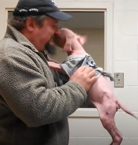 Man returns to adopt the dog he rescued, filling the pup's heart with happiness 2