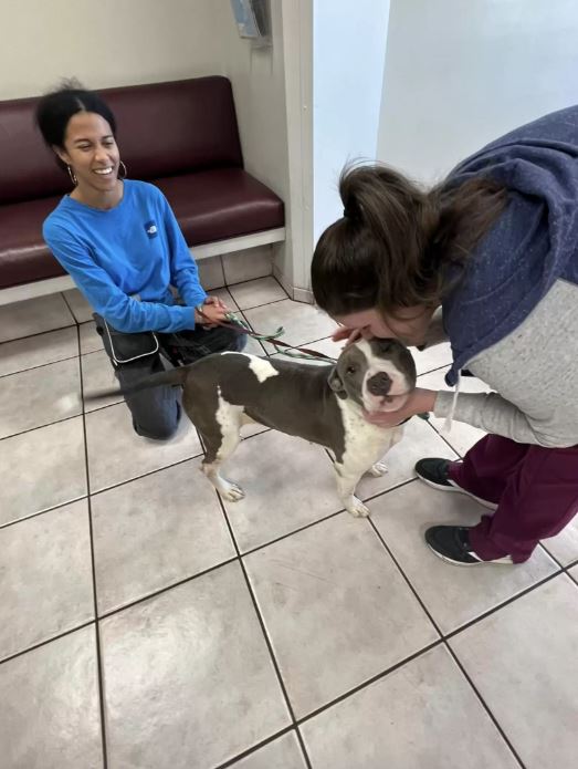  Lonely shelter dog reaches their paw through the bars to shake everyone's hand 2